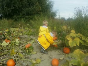 fall activities with kids | picking pumpkins at the pumpkin patch