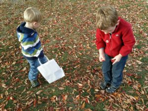 fall crafts with kids | going on a nature walk to collect leaves