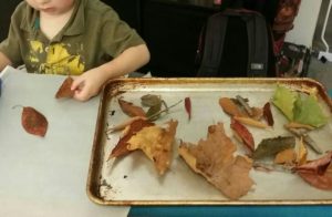 fall crafts with kids | ironing leaves between parchment paper