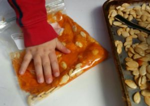 fall crafts with kids | squishing pumpkin seeds in a Ziploc bag