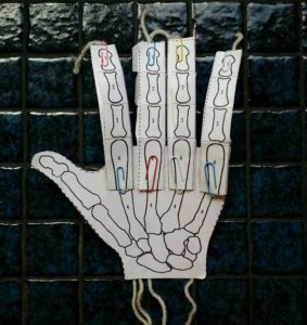 building a robot skeleton hand using the tutorial from Mystery Science