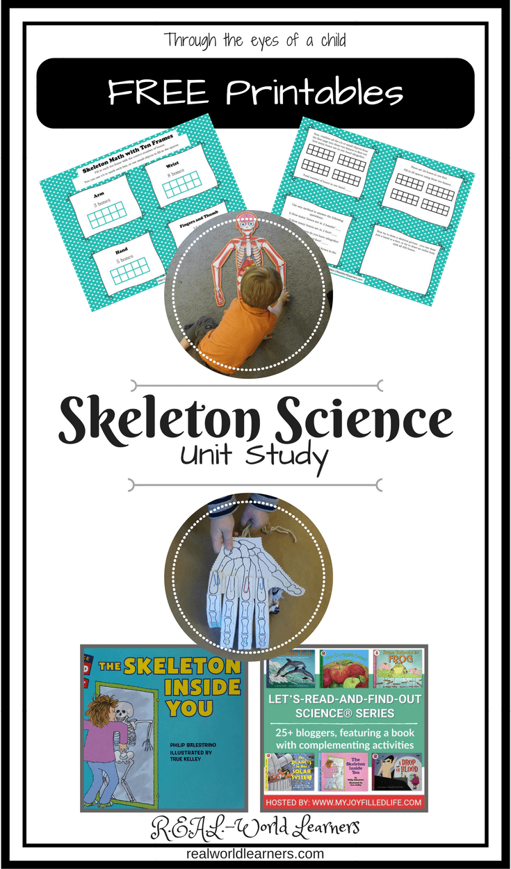 Unit Study on skeletons and how our body works with a free printable, recommended activities, digital resources, and books.