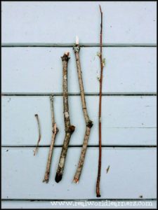 outside fun learning activities least to greatest