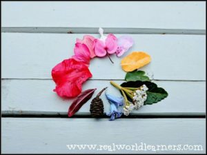 outside fun learning activities color wheel