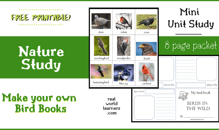 Nature study free printable Bird Book - enjoy learning about birds with this notebooking activity using bird cards and mini-book templates.