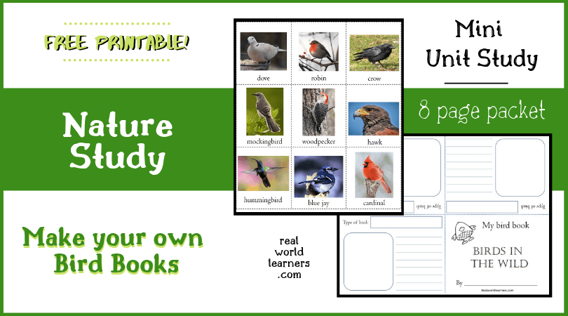 Nature study free printable Bird Book - enjoy a bird-watching unit study with this 8-page notebooking activity using bird cards and mini-book templates.