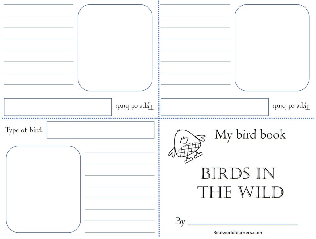 Free Nature Study printable bird book template